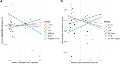 Exploring the causal relationship: bidirectional mendelian randomization study on benign prostatic hyperplasia and cardiovascular diseases